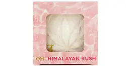 Logo for Himalayan Kush (50mg)