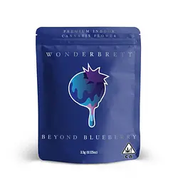 Logo for Beyond Blueberry