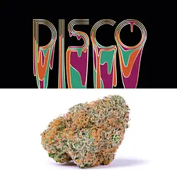 Logo for Disco