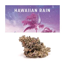 Logo for Hawaiian Rain
