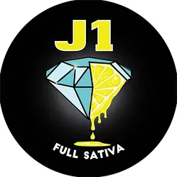 Logo for J1