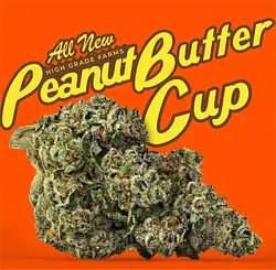 Logo for Peanut Butter Cup