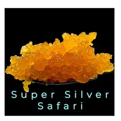 Logo for Super Silver Safari