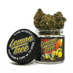 Logo for Lemon Tree