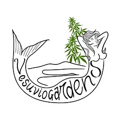 Logo for Papaya Power