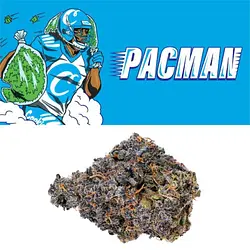 Logo for Pacman