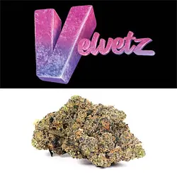 Logo for Velvetz