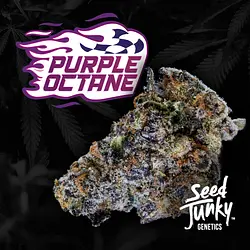 Logo for Purple Octane
