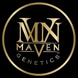 Logo for Maven