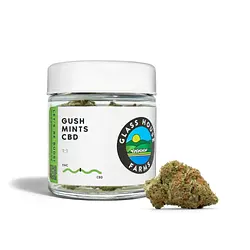 Logo for Gush Mints CBD